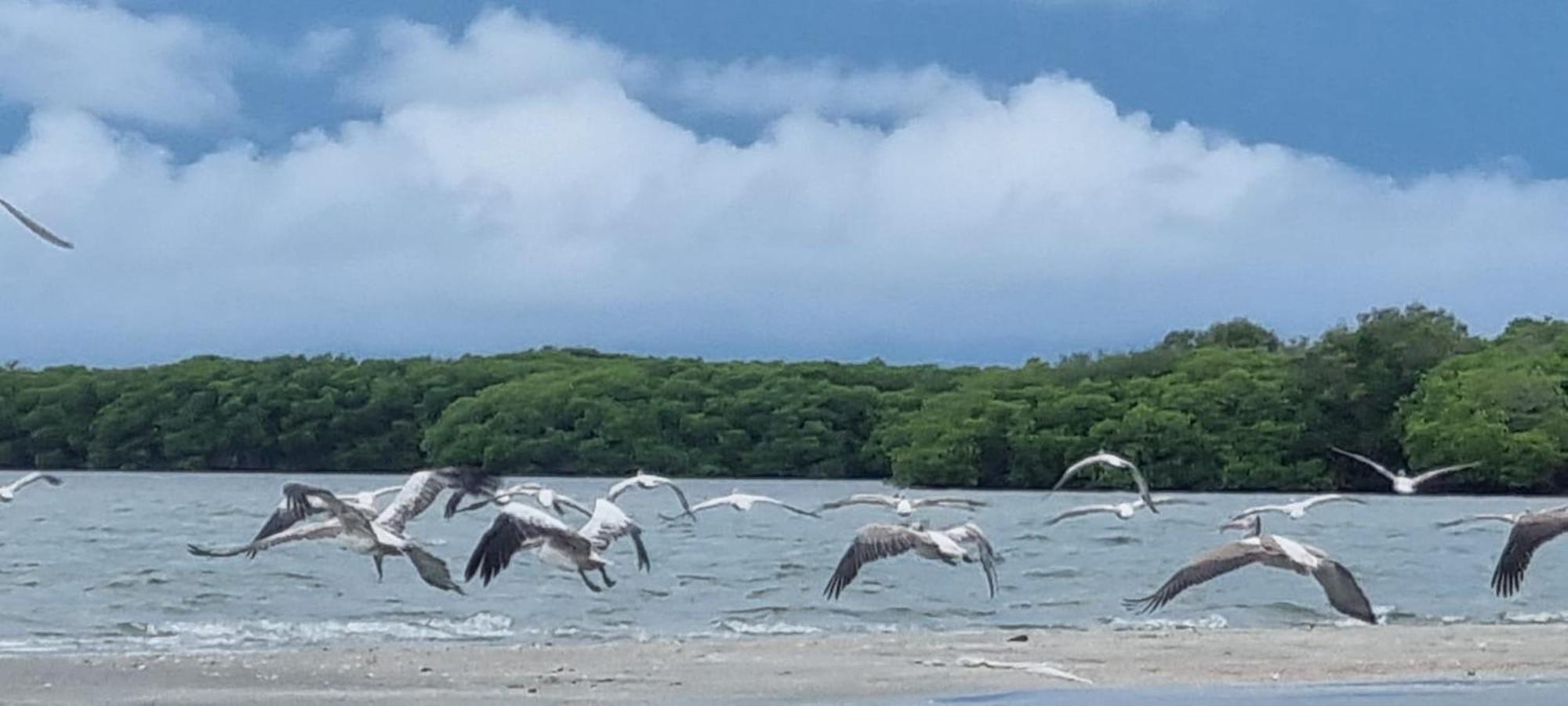 Scoop Cabana Kitesurfing カルピティヤ エクステリア 写真