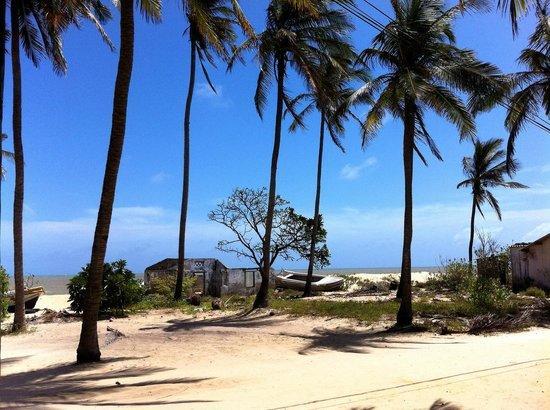 Scoop Cabana Kitesurfing カルピティヤ エクステリア 写真